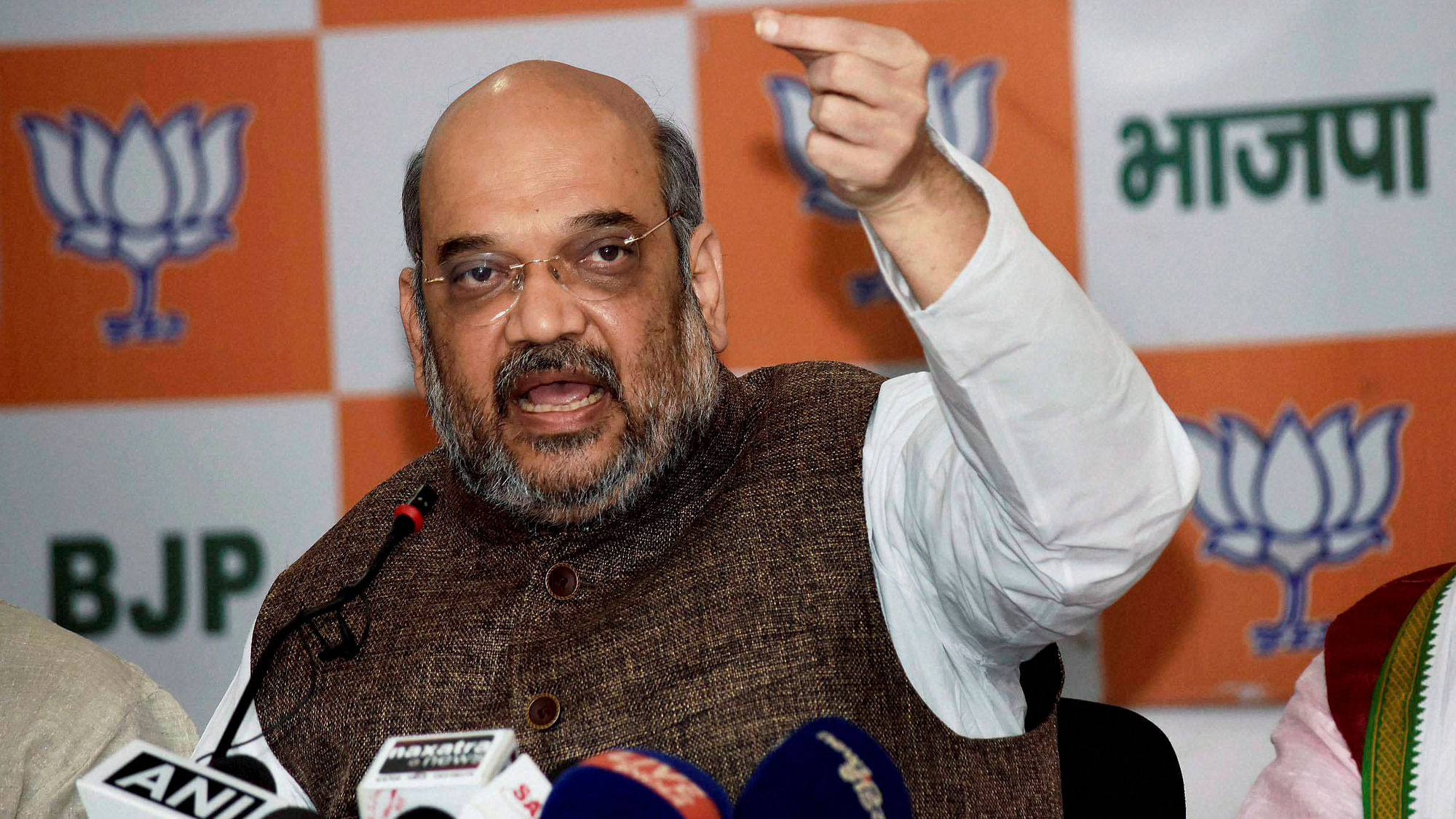 Union Home Minister and BJP President Amit Shah. (Photo: PTI)