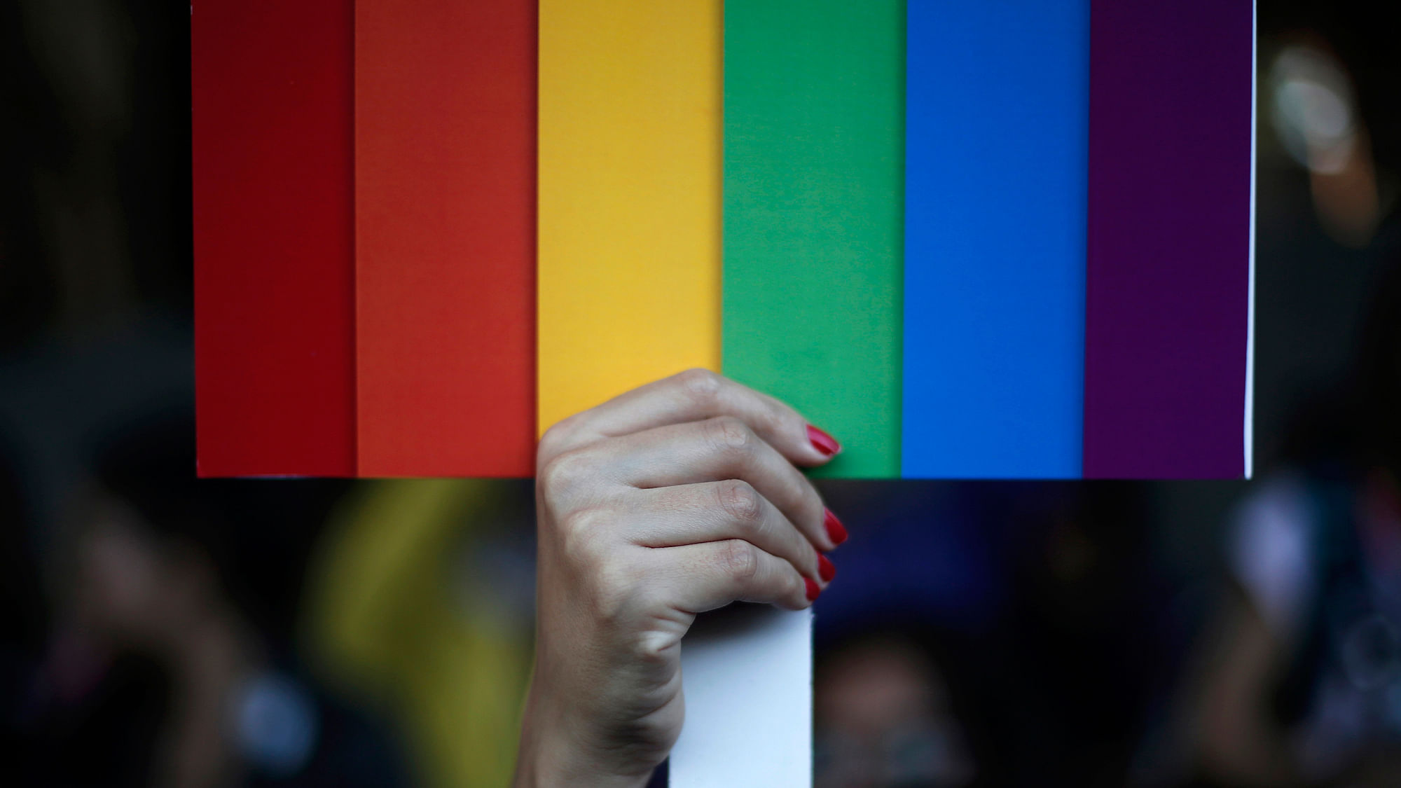 A participant holds a rainbow coloured placard during the Delhi Queer Pride Parade. (Photo: Reuters)