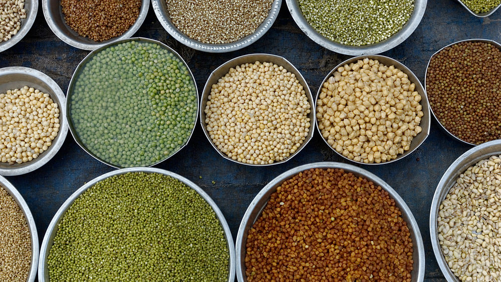 From a fertiliser policy to adequate storage facilities, a lot needs to be done to deal with shortage of pulses.