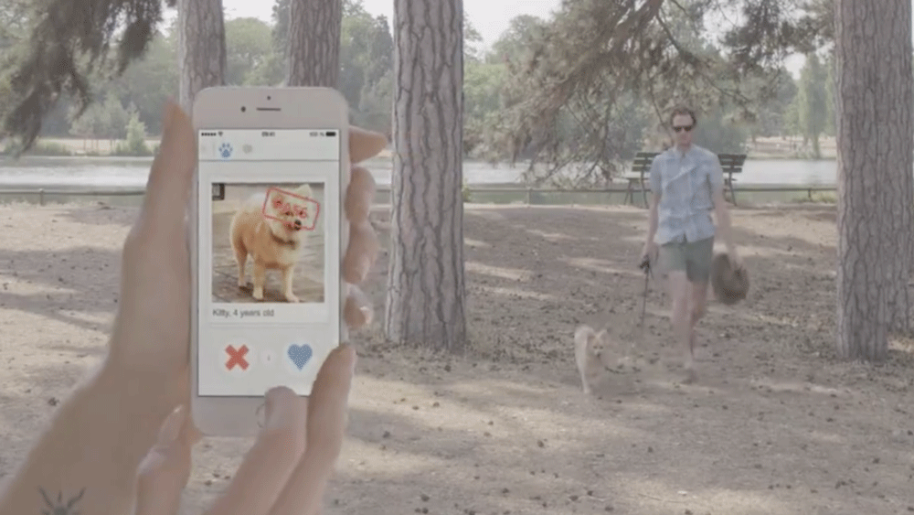 Tindog is a digital ‘matchmating’ service for dogs.