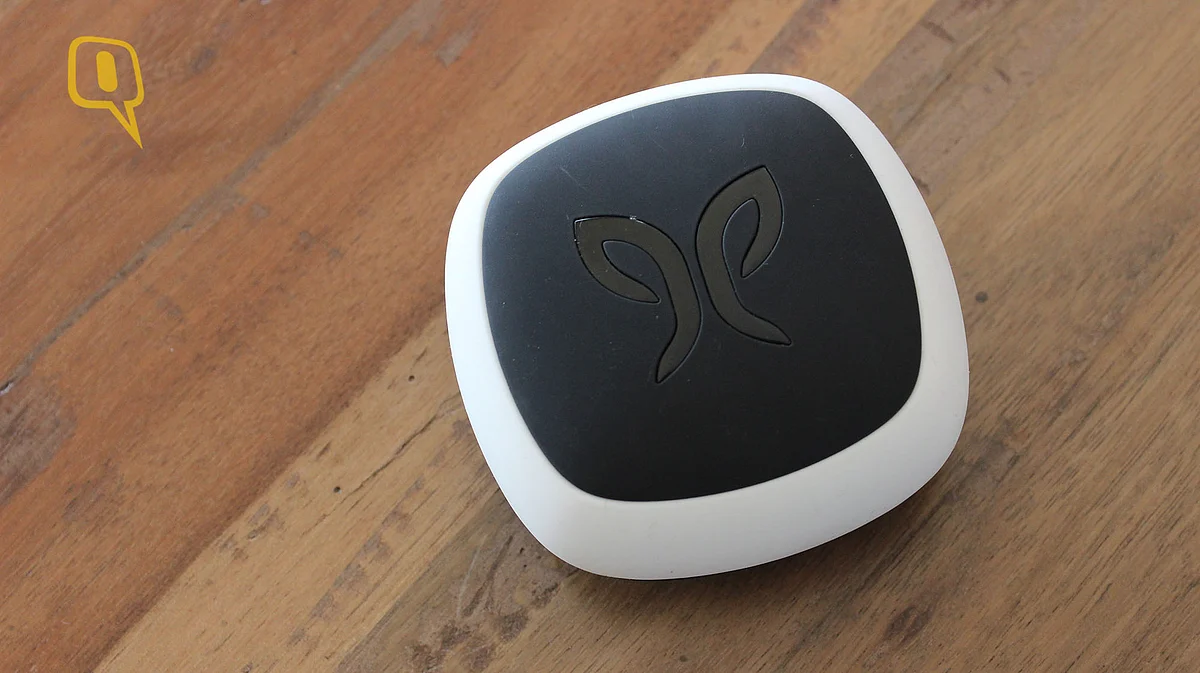 Jaybird X2. (Photo: <b>The Quint</b>)