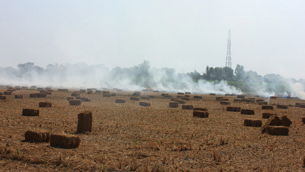 Burning of paddy straw by Punjab’s farmers is increasing air pollution in Delhi: A special report by Vivian Fernandes