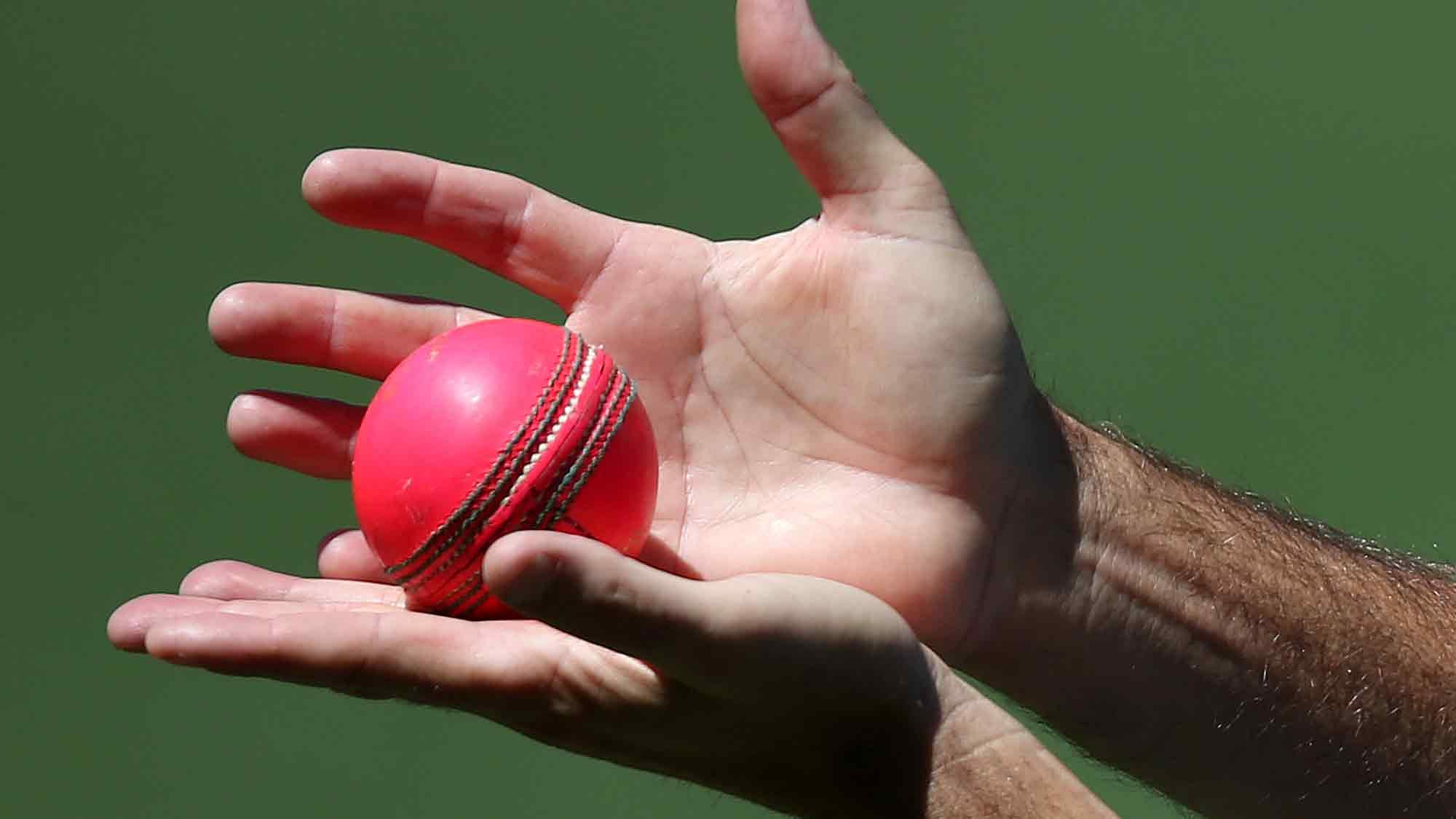 The Aus-NZ test starting Friday will be the first ever day/night test match and will use a new developed pink ball. (Photo: AP)<a></a>