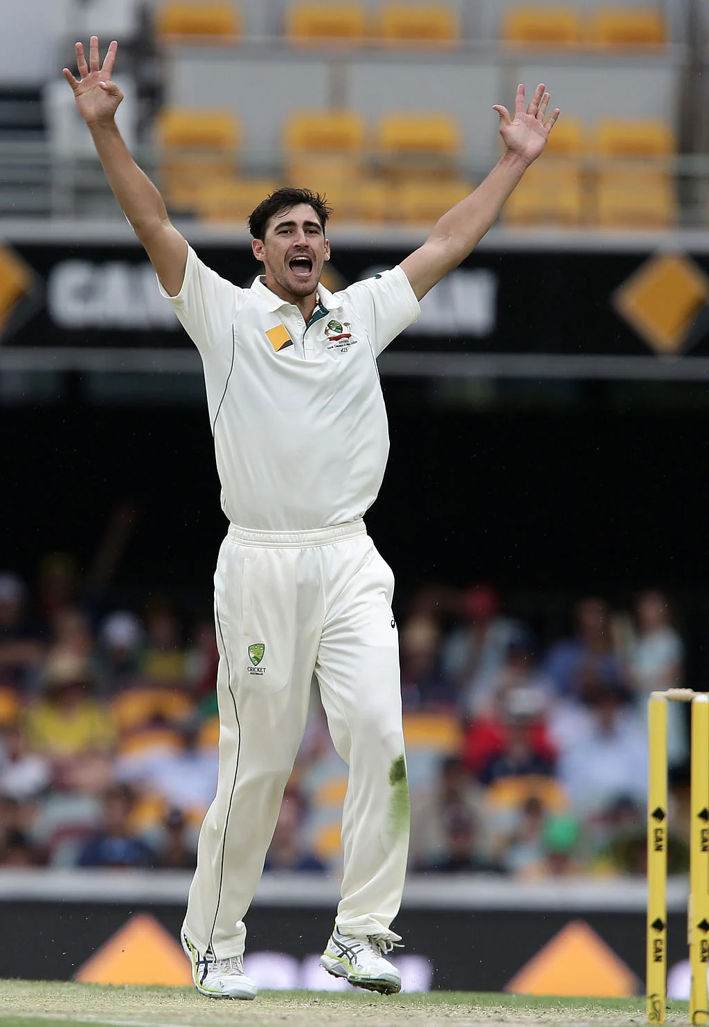 Mitchell Starc grabbed three wickets in the evening session with the aid of some noticable in-swingers against New South Wales. (Photo: AP)