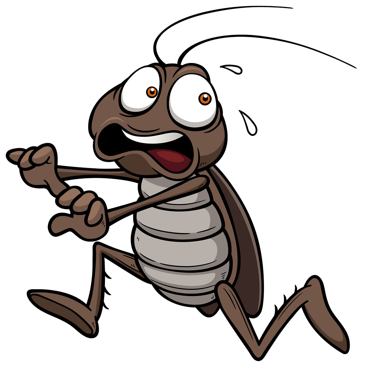 When Raghu was greeted by a cockroach instead of his morning filter coffee, things were bound to go haywire.