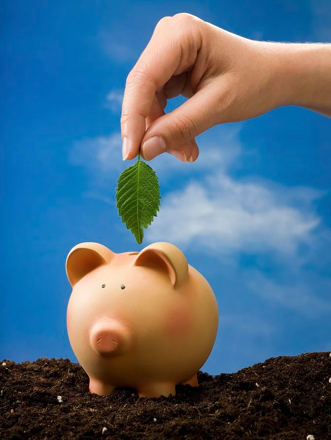Need more robust climate finance pledges. (Photo: iStockphoto)