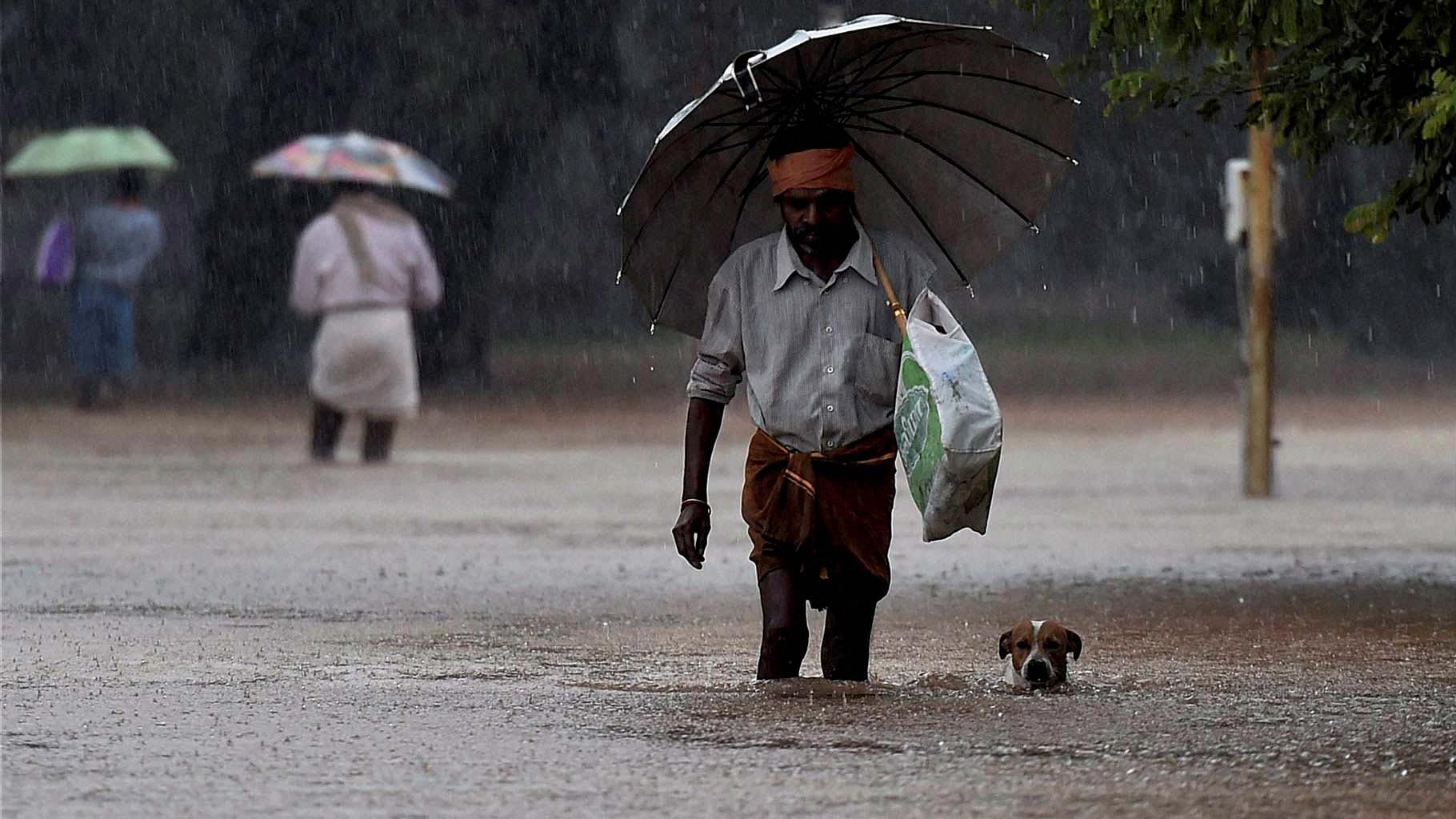The Tamil Nadu floods saw a 100-year record broken to become the worst rainfall in the century. (Photo: PTI)