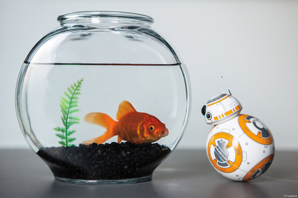 BB-8 is possibly the coolest droid in town at the moment. And if you’re a Star Wars fan, then that’s just perfect.