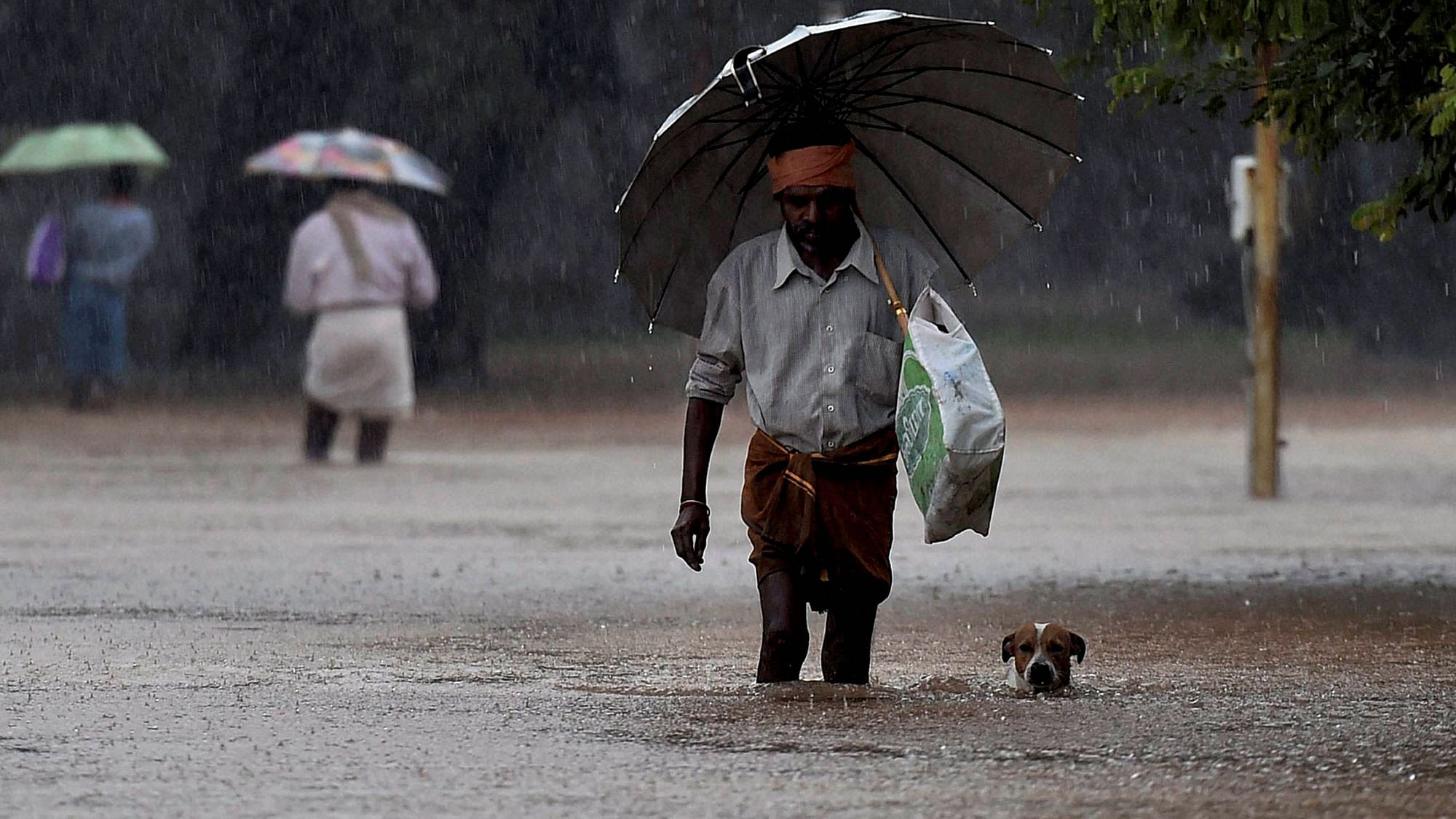 It’s been raining without a break in Chennai. (Photo: <b>The Quint</b>)