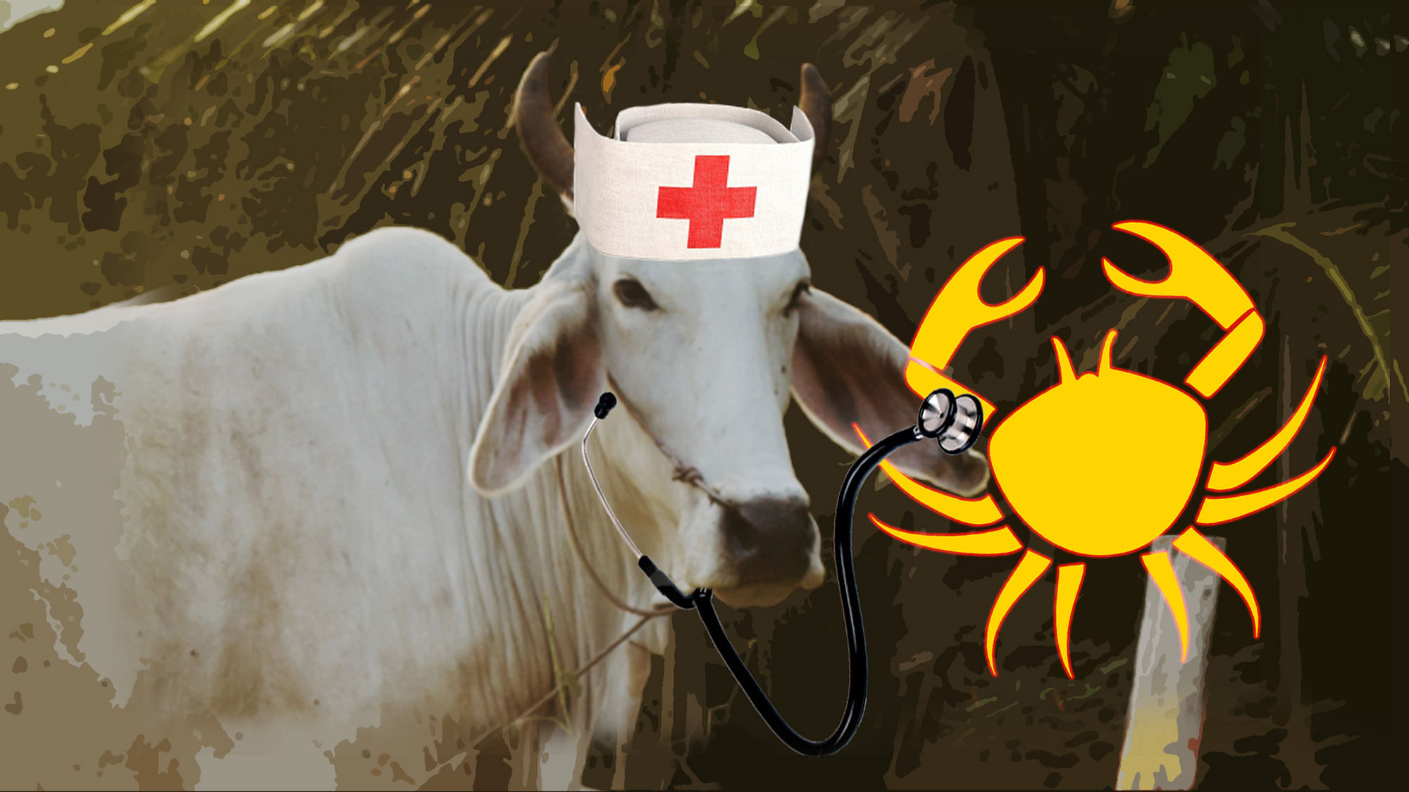 A hospital in Gujarat is hoping to use cowpathy to cure cancer. (Photo: <b>The Quint</b>)&nbsp;
