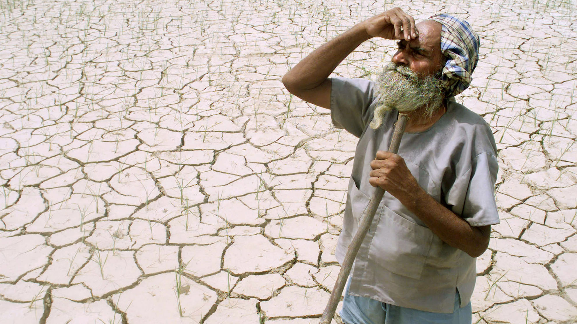 

A farmer looks skyward while standing amidst his drought-stricken crop near Patiala in  Punjab, July 17, 2002. (Photo: Reuters)