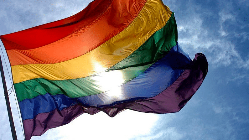 The LGBT flag.