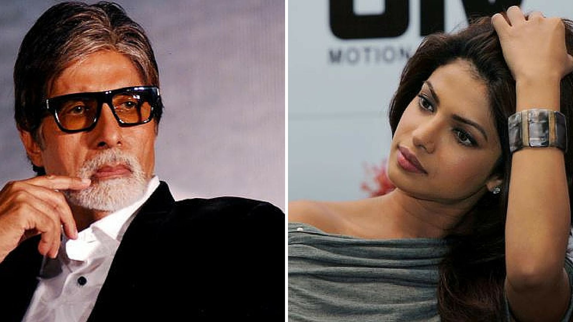 Amitabh Bachchan and Priyanka Chopra will not charge for being a part of this campaign. (Photo: <b>The Quint</b>)