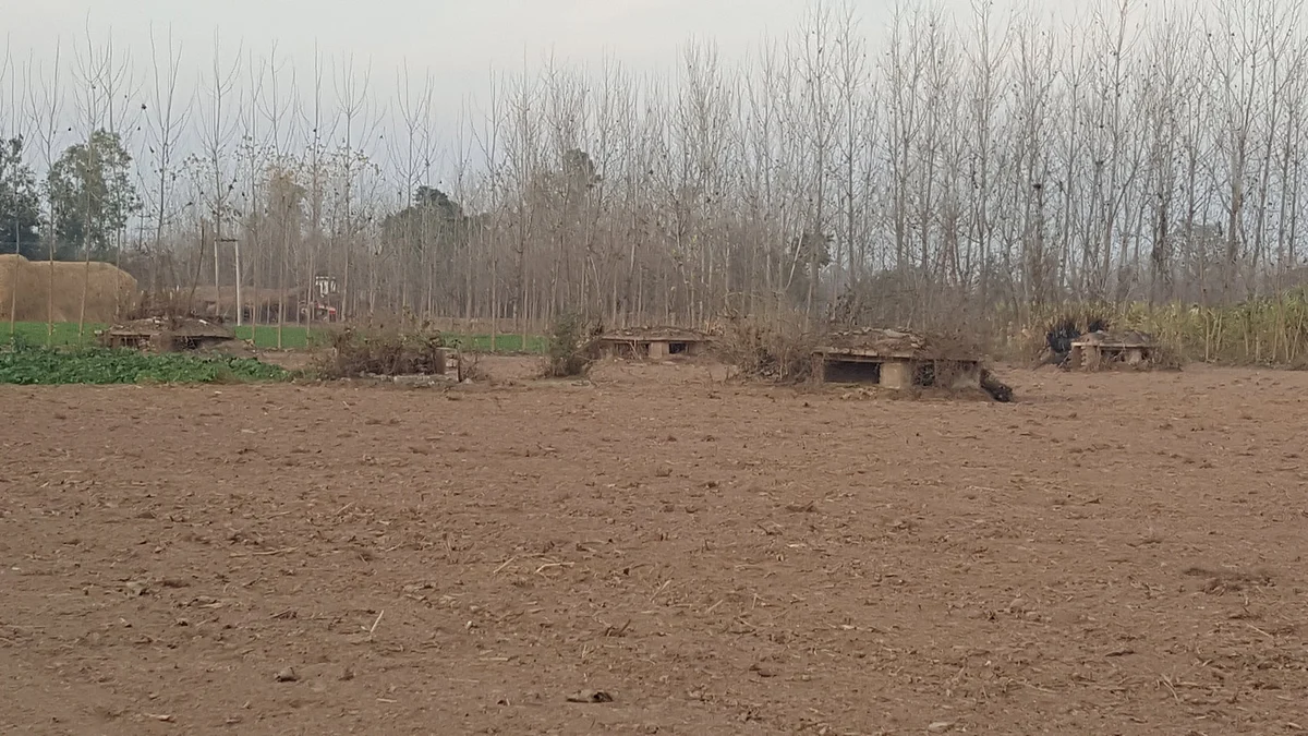 Disused Indian army bunkers close to the India-Pakistan border in Pathankot. (Photo: Chandan Nandy)