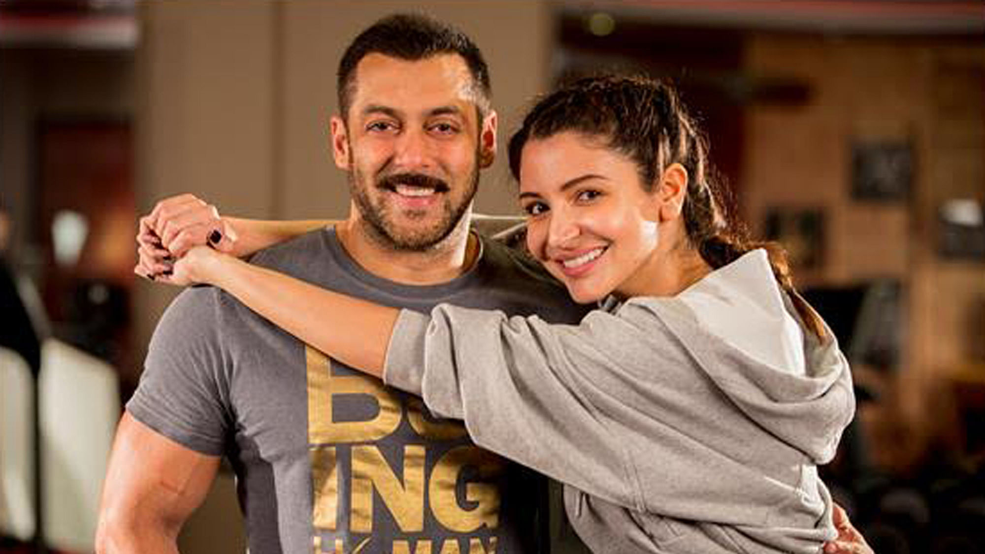 Salman Khan and Anushka Sharma in&nbsp;<i>Sultan.</i>
