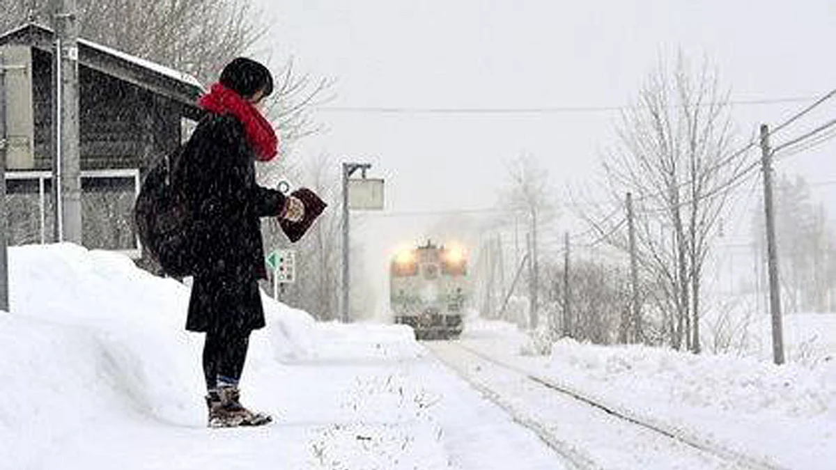 An unnamed girl is the only one picked up from a Japanese train station which was scheduled to be shut down. (Photo Courtesy: CCTV News’ <a href="https://www.facebook.com/cctvnewschina/posts/1109784289062390">Facebook Page</a>)