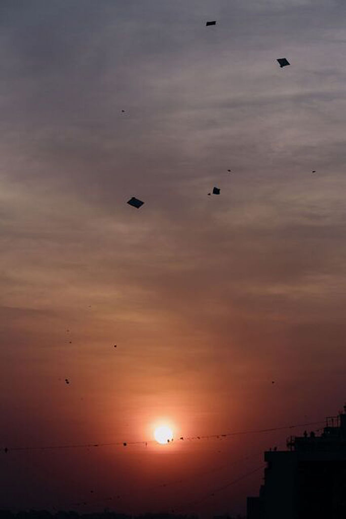 A US-returned Gujarati photographer has captured some gorgeous images of kite flying in his hometown.