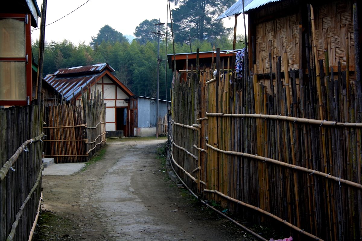 Why Ziro in Arunachal Pradesh is the hidden jewel of the northeast you need to discover today.