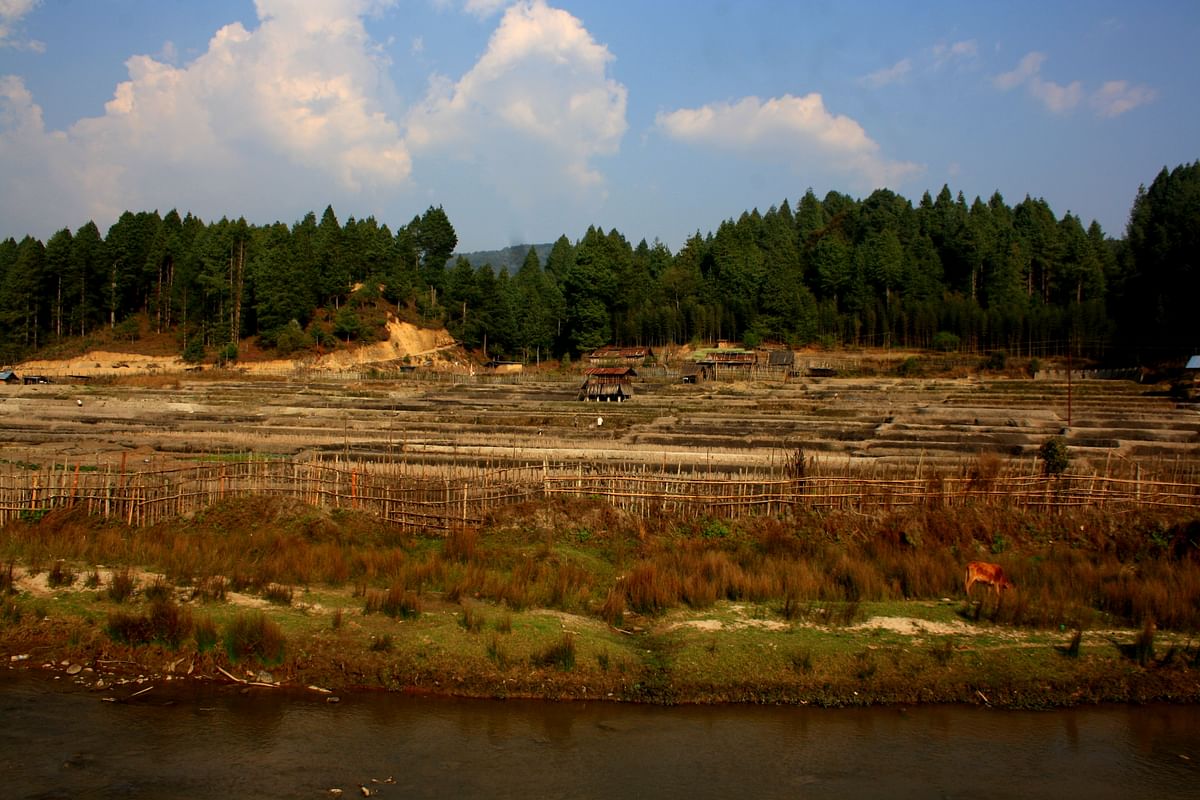 Why Ziro in Arunachal Pradesh is the hidden jewel of the northeast you need to discover today.