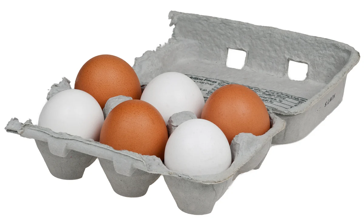 You will need an egg and an egg yolk. (Photo Courtesy: Wikimedia Commons)