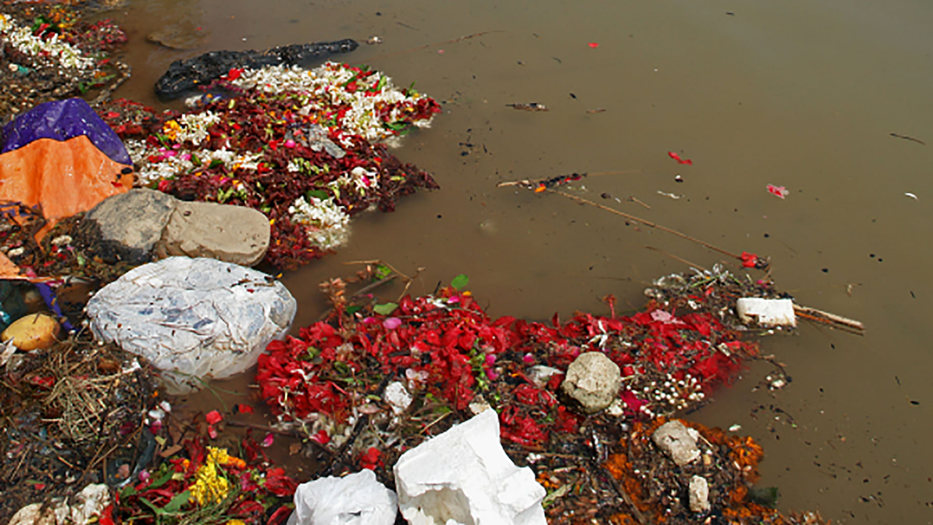 Garbage dumped in a water body. (Photo: iStockphoto)