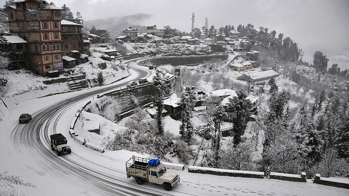 Snow is considered “white manure” for the fruit orchards as it not only helps in meeting the minimum chilling requirement (Photo: Reuters)