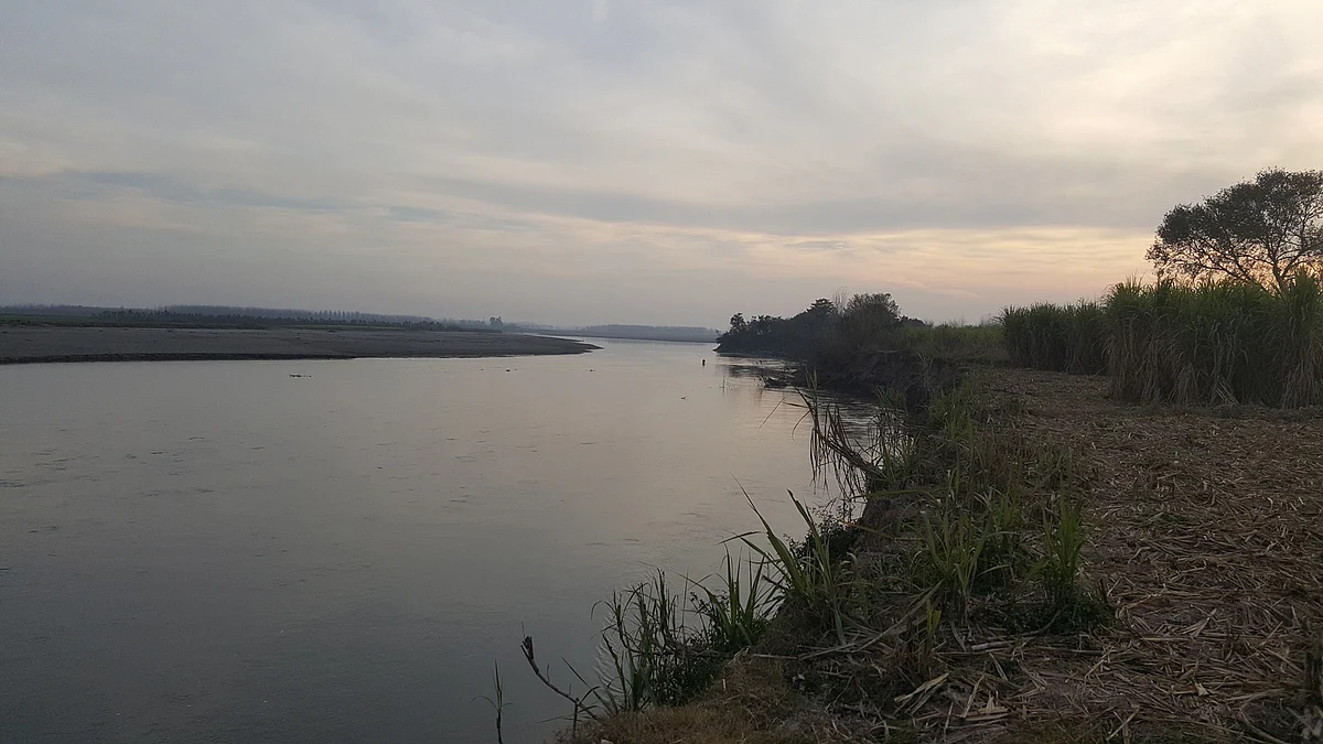 A riverine tract of the India-Pakistan border in Toor village of Pathankot. (Photo: Chandan Nandy)