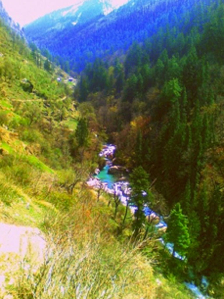 Why a trek to Kheerganga made me wish I could keep it could from the world.