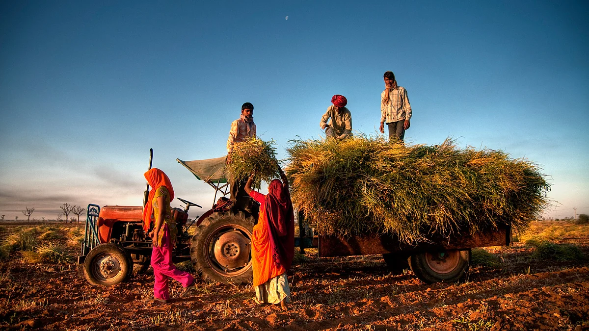Since land belongs to the tiller, tenancies are oral. Cultivators cannot even get relief for calamities caused by aberrant weather. (Photo: iStockphoto)