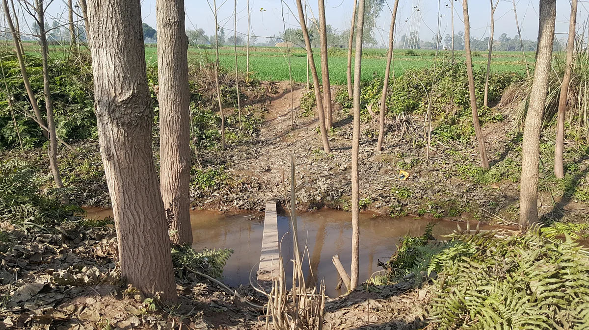 A small stream of nallah that the terrorists are suspected to have crossed before entering Bamial village in Pathankot. (Photo: <b>The Quint</b>)