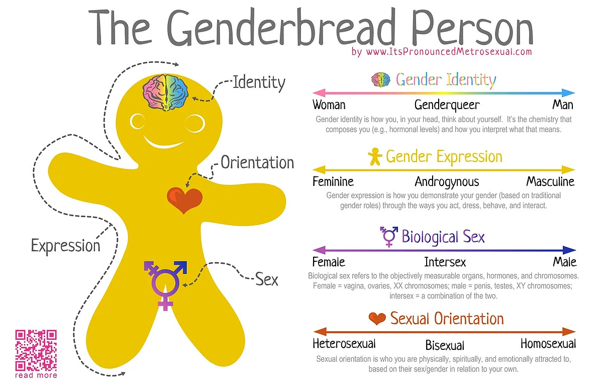 The Genderbread Person (Photo: www.ItsPronouncedMetrosexual.com)