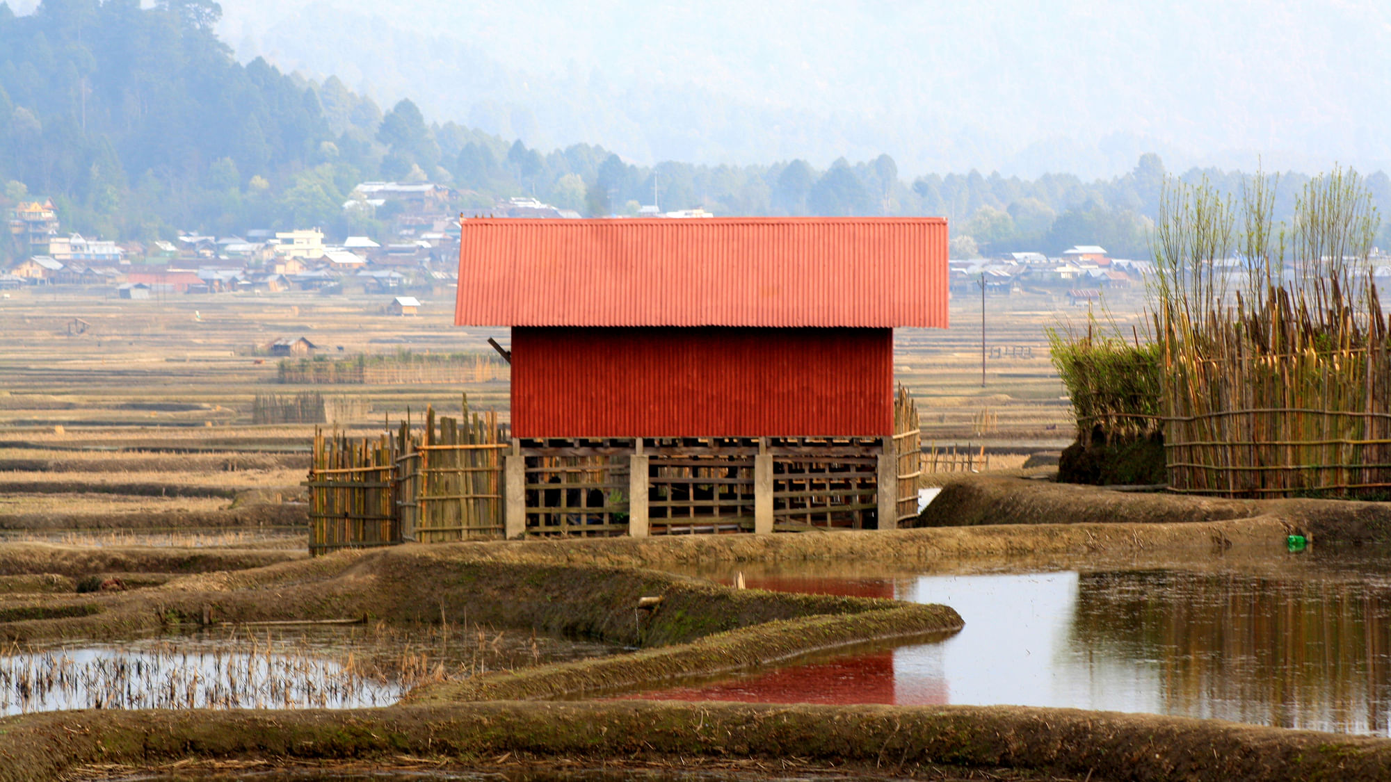 A bright red house amongst the paddy fields catches the eye. (Photo Courtesy: Kushal Chowdhury)