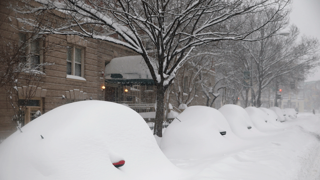 Parked cars are  completely covered by the snow, Saturday, Jan. 23, 2016 in Washington. (Photo: AP)