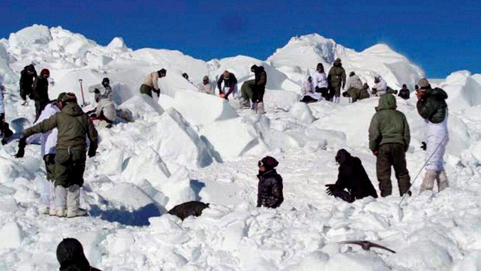  Specialised rescue teams carrying out search operations for soldiers hit by an avalanche in Siachen. (Photo: PTI) 
