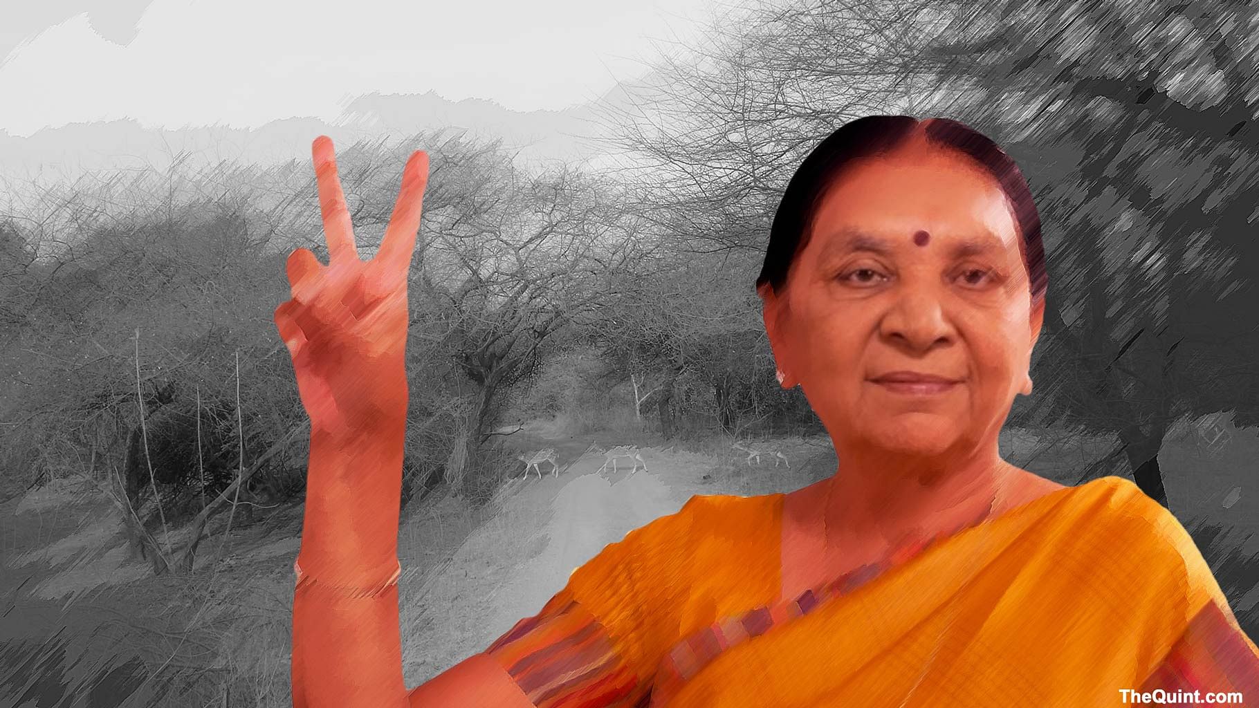 Chief Minister of Gujarat Anandiben Patel. (Photo altered by <b>The Quint</b>)