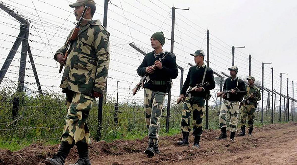Border Security Force soldiers patrol the border. (Photo: PTI)