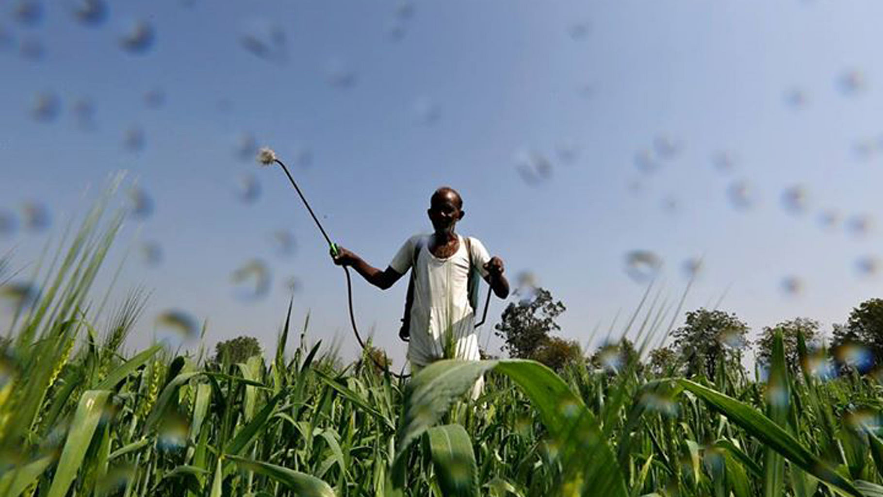 The Union Cabinet Wednesday approved creation of a Rs 2,000-crore Agri-Market Infrastructure Fund (AMIF) for rural agriculture markets.