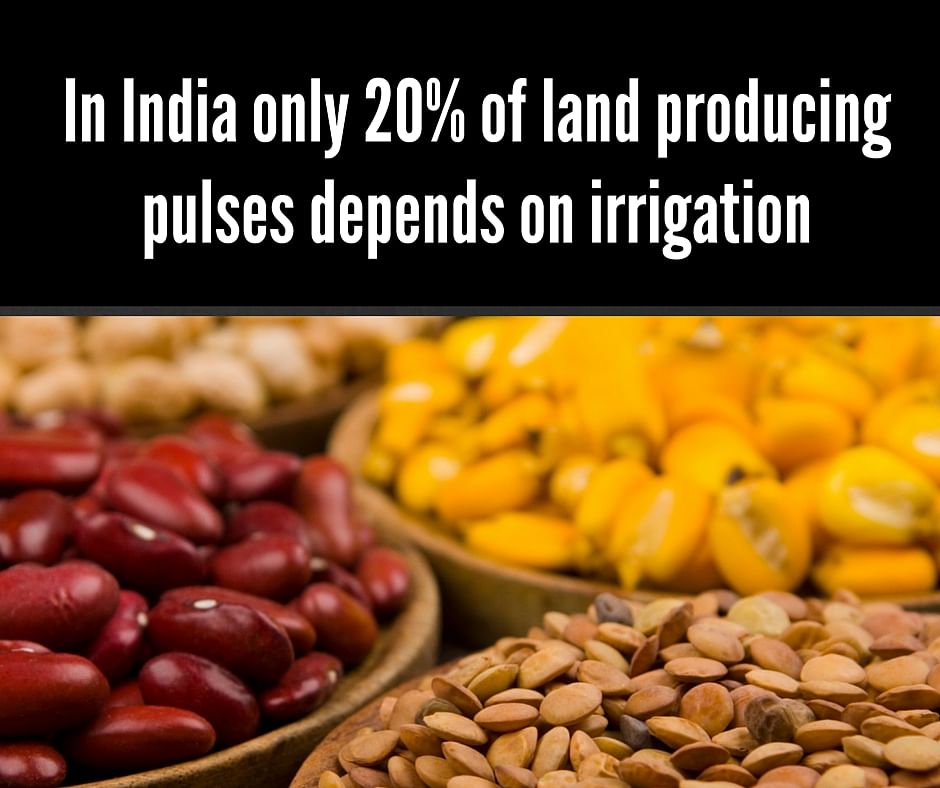 

It is estimated that a 2-3 degree rise in temperature may lead to a decrease in wheat production in north India. 