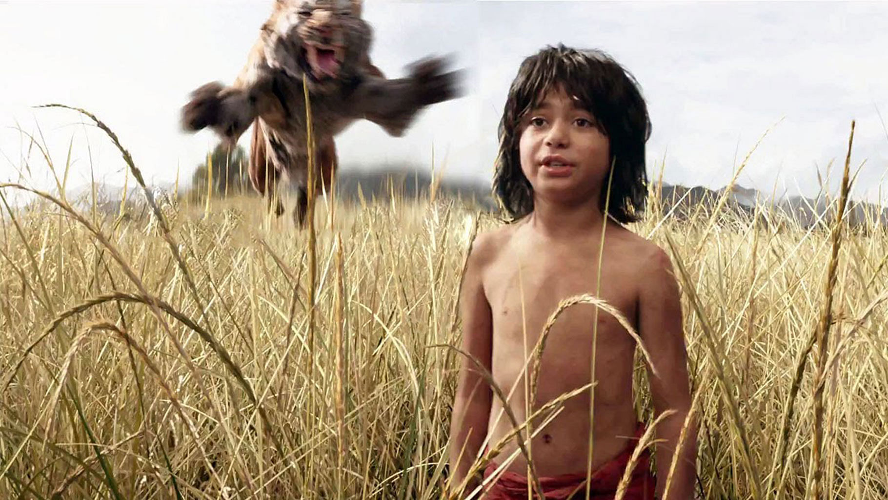 Джунгли документальные. Маугли книга джунглей 2016. Маугли в детстве. Девочка Маугли.