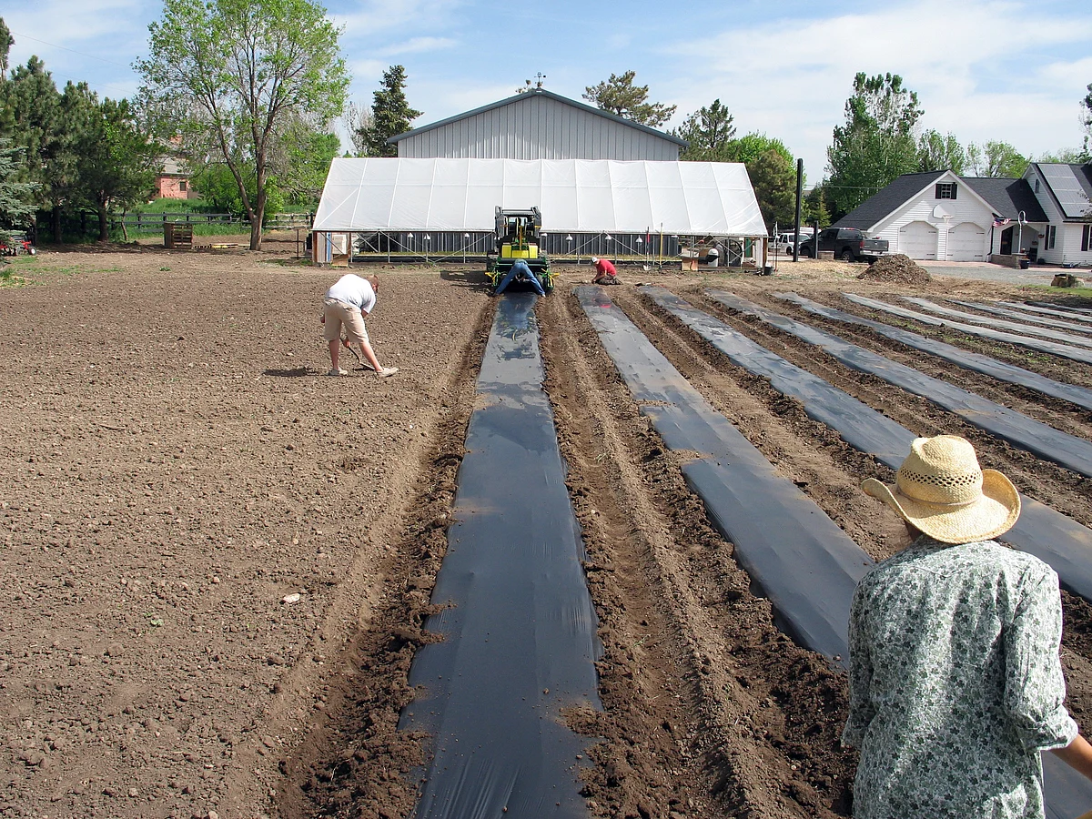 Workers in Colorado’s Table Mountain Farm prepare new growing beds. When mature, the flowers and edibles will be sold directly from the field for processing or to be eaten raw by people who live nearby. Photo Courtesy: AP)