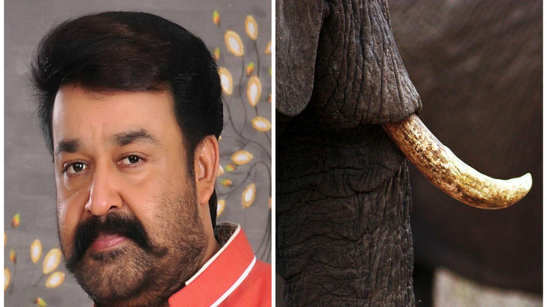 Actor Mohanlal. (Photo Courtesy: <i>The News Minute</i>)