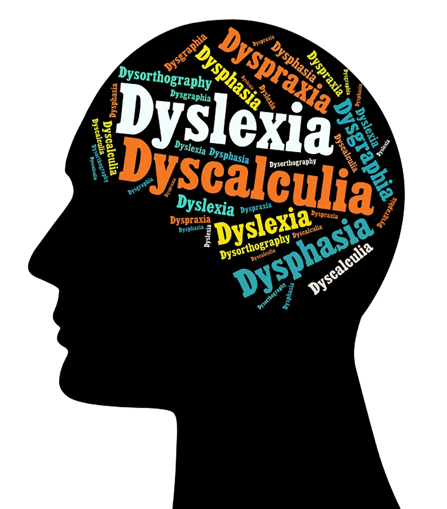 Since dyslexia is the most common type of learning disorder it is often confused with other disorders as well.