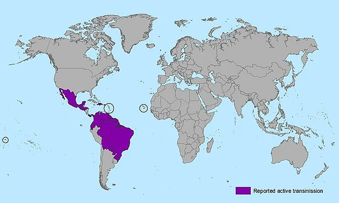 Zika affected countries highlighted above (Photo courtesy: CDC Atlanta)