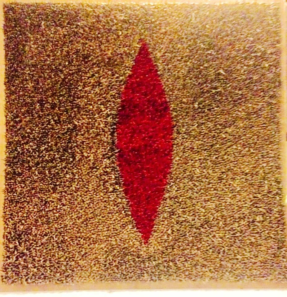 <i> The Wound II</i>. (Photo: Megha Joshi)