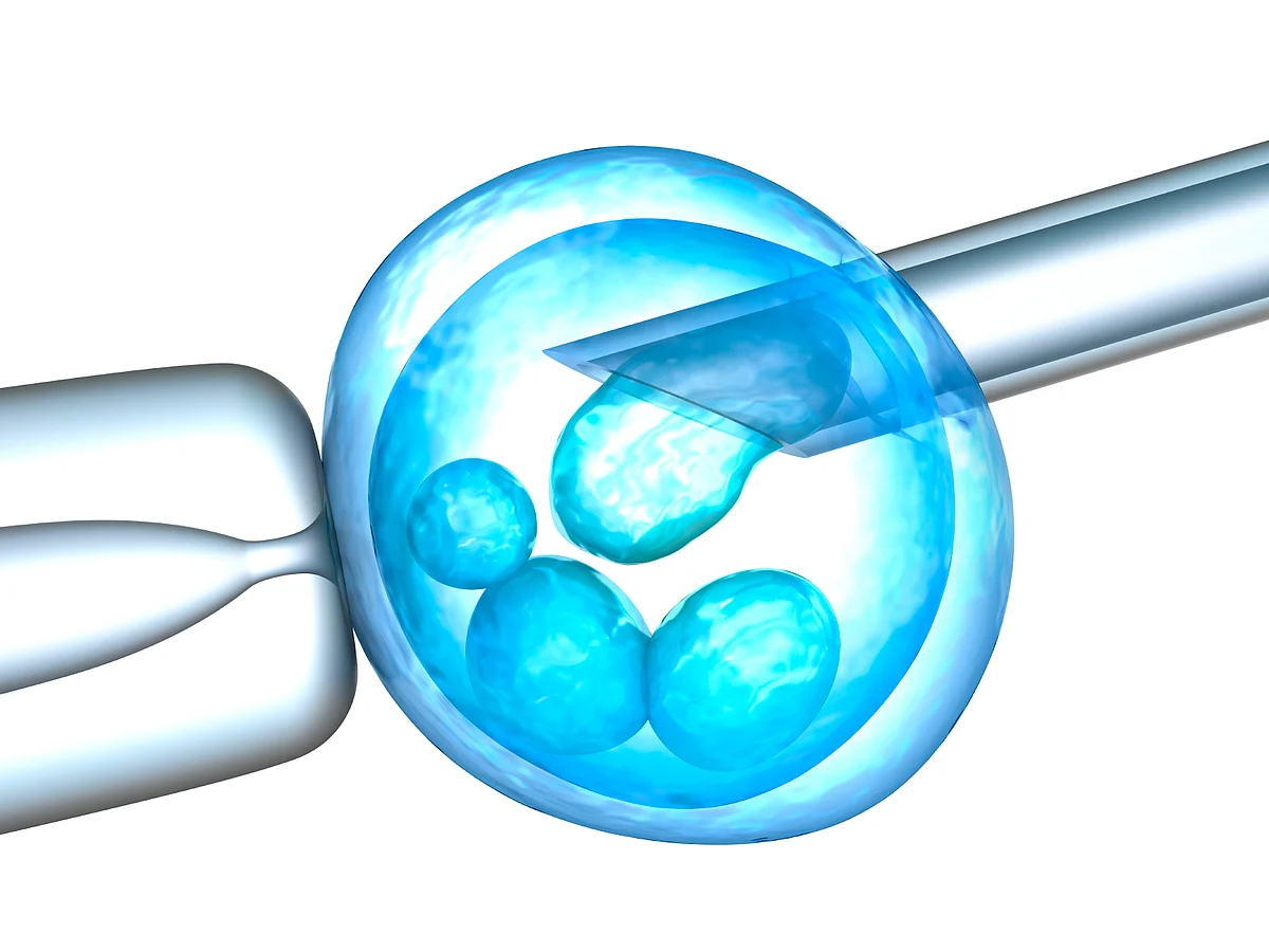 The study suggests fertility treatment may change the way certain genes function when they are passed from parent to child in a process known as ‘genomic imprinting’ (Photo: iStock)