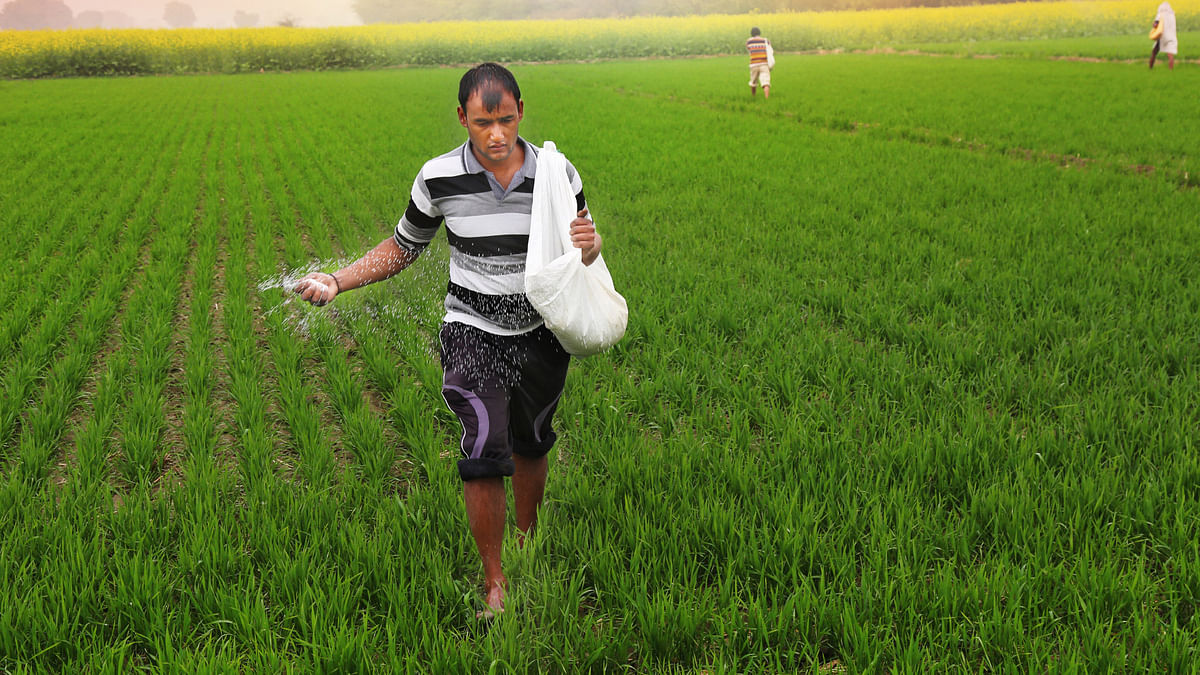 NDA govt should try reducing subsidies on urea and decontrol prices of non-urea fertilisers, writes Amitabh Dubey.