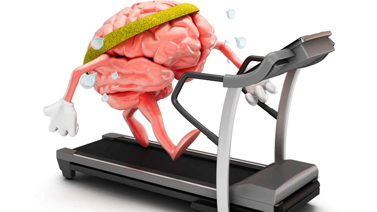 Workout your brain needs it