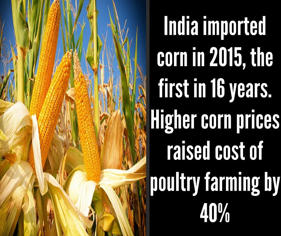 

It is estimated that a 2-3 degree rise in temperature may lead to a decrease in wheat production in north India. 