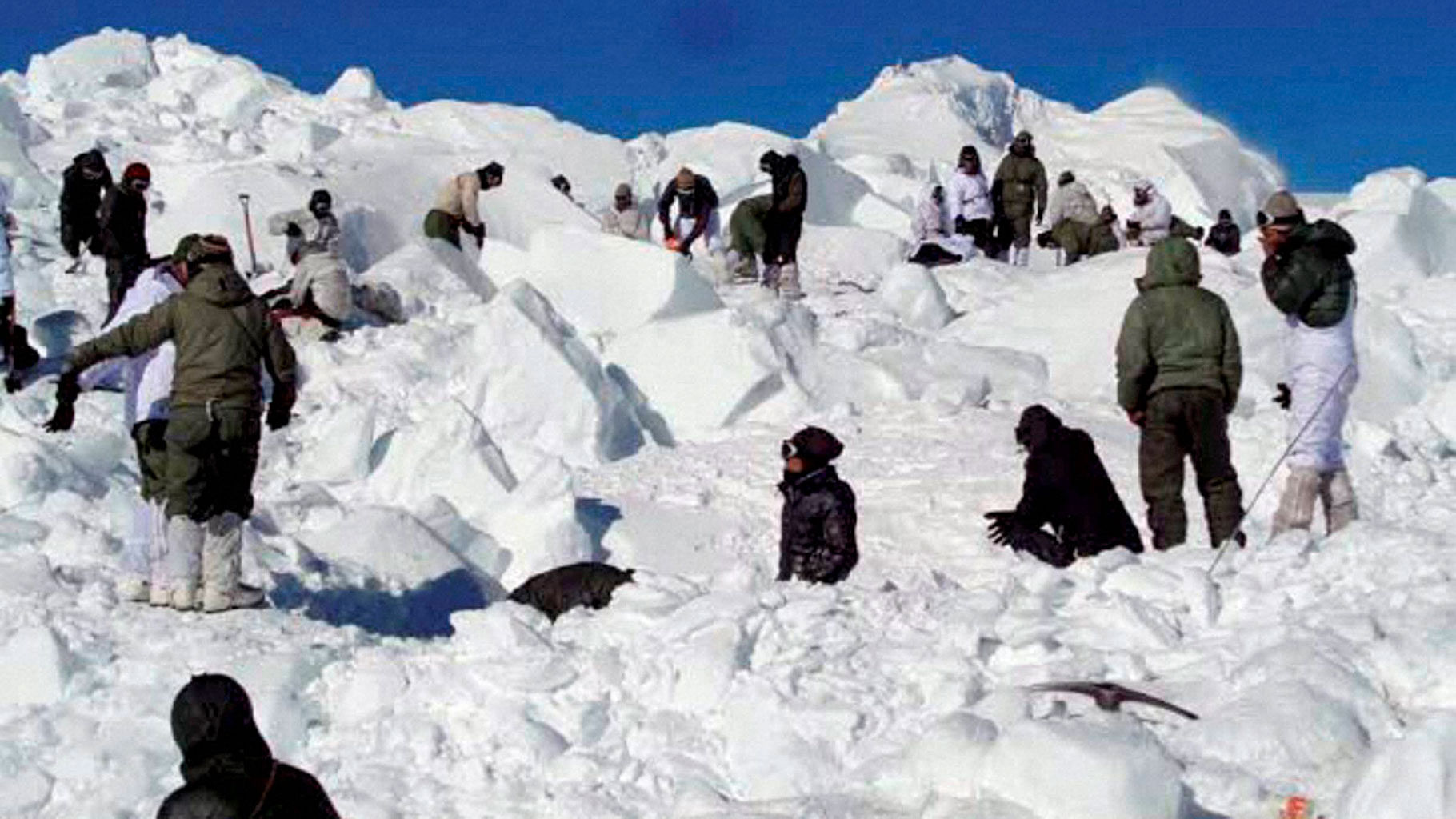 Specialised rescue teams carrying out search operations for soldiers hit by an avalanche on 3 February in Siachen. (Photo: PTI)
