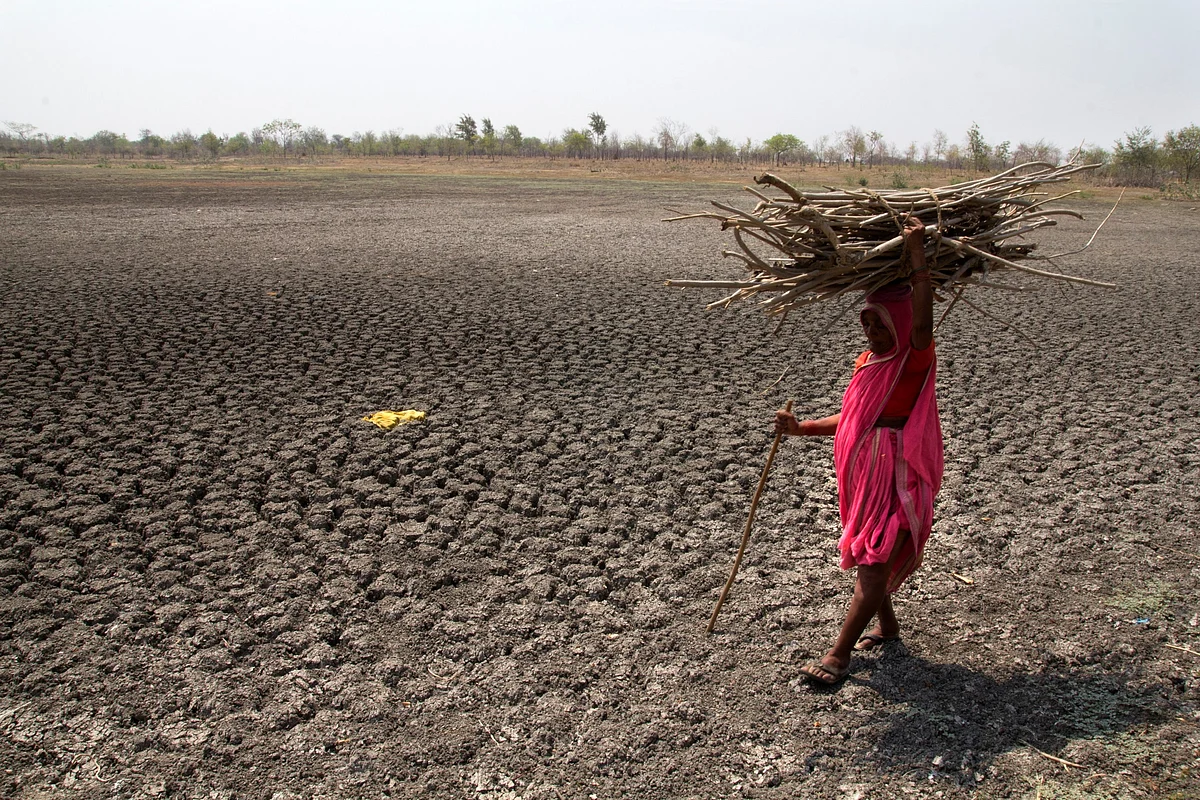 A women walks through Khomnal Village pond at Mangalwheda taluk, Solapur district in Maharashtra. (Photo Courtesy: Subrata Biswas/Greenpeace)